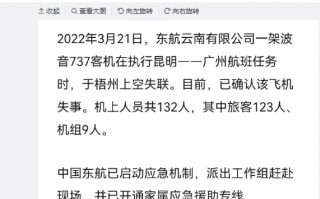 东航官方通报一飞机坠毁：机上132人、官网页面变黑白