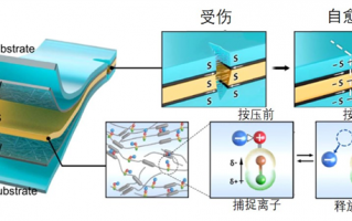 中国科学家打造“类真人皮肤”：受伤1小时完全愈合