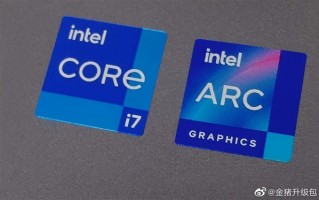 Intel Arc A730M高端显卡实战：Beta驱动致DX12游戏无法启动