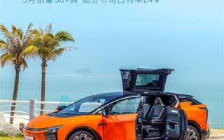 最贵国产电动车 高合HiPHi·X5月销量369台：力压保时捷Taycan