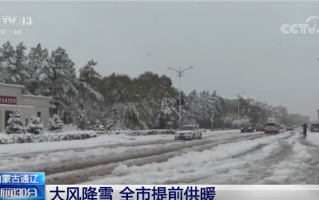 我国多地出现今秋首场降雪：部分地区已提前供暖