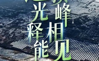 全球最大、海拔最高的水光互补电站投产，年平均发电量 20 亿度