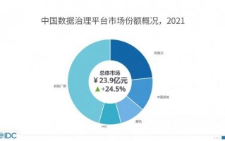 IDC 2021 中国数据治理平台市场份额：阿里云第一 中国系统第二