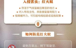 注意！12省出现红火蚁伤人事件 专家科普有多危险 被咬伤后如何自救