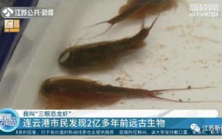 小区池塘发现2亿年前远古生物：恐龙同时期 独门“绝技”挺过了大灭绝