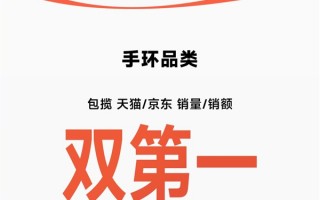 破170亿元！小米双11终极战报出炉：包揽四大平台手机品类第一