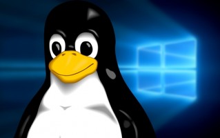 Linux终有一天成为桌面王者 只等微软“放弃”Windows