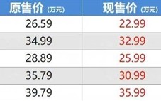 23万元的特斯拉：治不好马斯克的焦虑