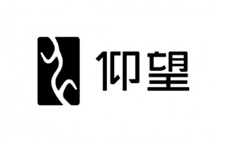 比亚迪高端汽车“仰望”品牌标识发布：灵感来自甲骨文