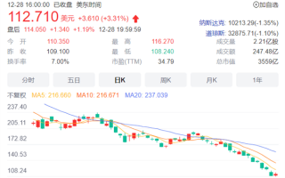 特斯拉股票创最糟年度表现！马斯克给员工“画饼”：地球上最有价值的公司