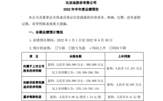 消息称比亚迪拟自研智能驾驶芯片：年底或可流片