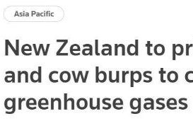 世界第一个：新西兰将对牛羊打嗝收费