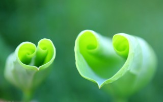 遇见作文开头唯美句子（关于写景的优美开头）