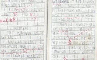 日志大全 励志50字（写日记大全50字）