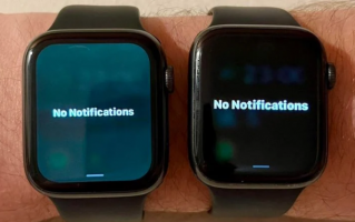 升级 watchOS 9.5 后，部分苹果 Apple Watch 用户反映手表出现绿屏