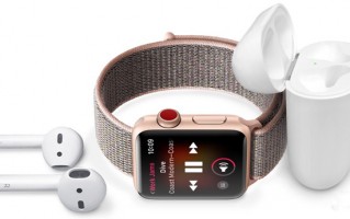 Apple Watch上季度销量翻倍 新表带真华丽