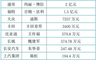 车企CEO年薪调查：马斯克日赚4.3亿