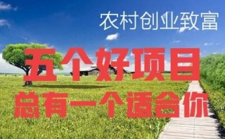 6个适合农村致富项目推荐（分享6个农村致富好项目）