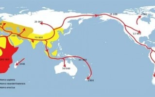 城市、农村都不见：曾经到处泛滥的老鼠都去哪儿了？