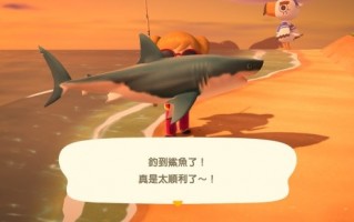 搏斗1小时 65岁日本大爷钓上2.5米长鲨鱼：最后分食了