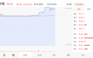 新能源汽车概念股 N纽泰格上市首日大涨295% 触发二次临停