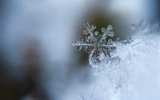 直击华北地区明显降雪天气：北京要下一天 气象台发暴雪蓝色预警