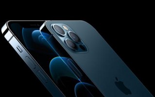 iPhone 12 推出后前 7 个月，iPhone 12 Pro Max 销量占29%