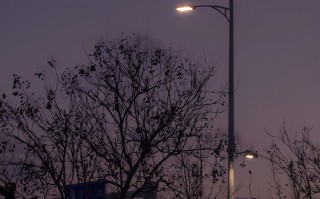 兴奋喜悦激动心情句子（描写心情无比激动的句子）