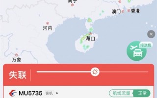 人民日报发布东航客机事故现场视频：飞机机龄6.8年