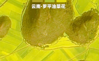 “吉林一号”拍摄神州大地绝美春景 网友：这简直是油画