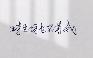 描写森林的优美句子（森林意境唯美的句子）