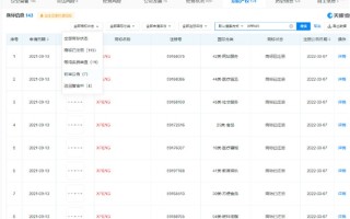 放言“后悔用自己的名字命名产品” 小鹏成功注册何小鹏商标