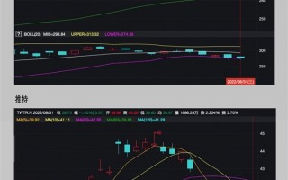 马斯克收购推特：一场始乱终弃的“闹剧”