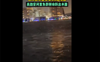 台湾发生6.5级地震：水中鱼群跃出水面 顶楼泳池掀起巨浪