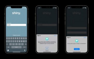 苹果正开发测试新功能：可用 Face ID 和 Touch ID 来取代密码