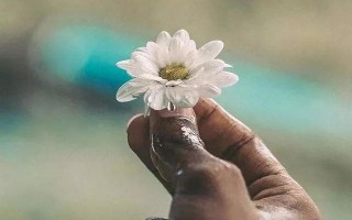 同学聚会简短说说短语（相聚一起快乐时光句子）