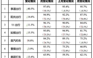 网约车空驶在路上：一天只有两单 收入98元！