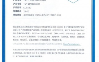 打破欧美垄断，中国首款 TSN 时间敏感网络芯片获准商用