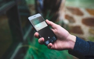 iOS 11 Siri最重要的新特性都在这里了