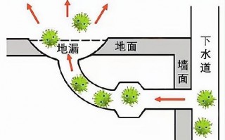 邻居阳性 病毒会从下水道到我家吗？马桶、开窗会传播吗？专家揭秘真相