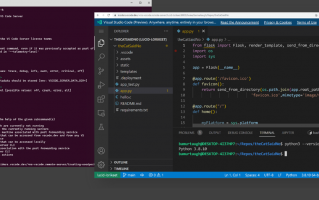 通过浏览器直接写代码，微软推出 Visual Studio Code Server 远程开发服务