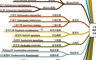 被封男子吃小区绿化带：57天竟发现84种草药