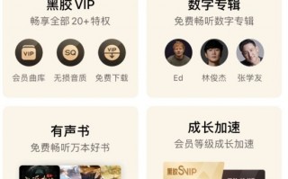 网易云音乐上线黑胶SVIP页面：可听数字专辑 40元/月