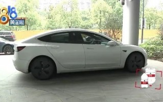 Model 3车主高架遇惊魂一幕！特斯拉安保一句话惹怒媒体