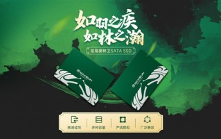 256GB仅159元！铭瑄御林卫SSD正式上市