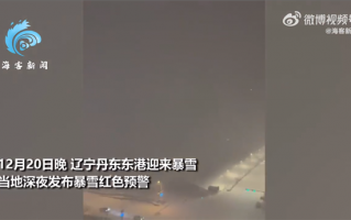 辽宁网友拍到少见“雷打雪”现象：下雪天雷声响彻天际 震耳欲聋