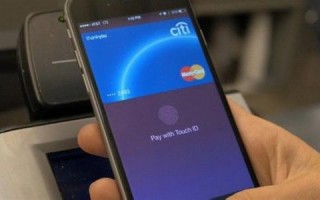 麦当劳等巨头看好Apple Pay：主流用户正用