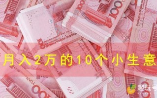 月入2万的10个小生意（利润高不起眼的小生意介绍）