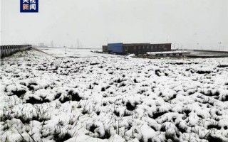 七月飞雪奇景！青海天峻县三伏天出现降雪：积雪厚度达3cm