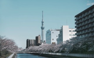 日本首都东京所有政府部门 8 月起全面引入生成式 AI